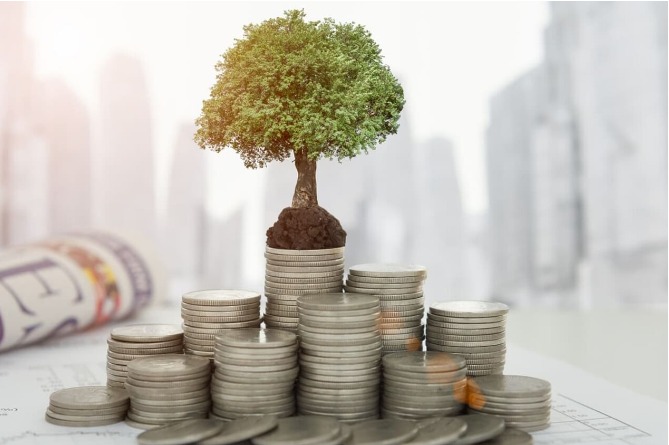 кошелек инвестиции