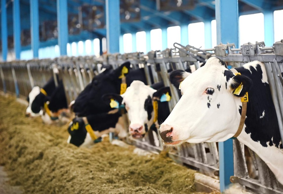 Еремян Еремян