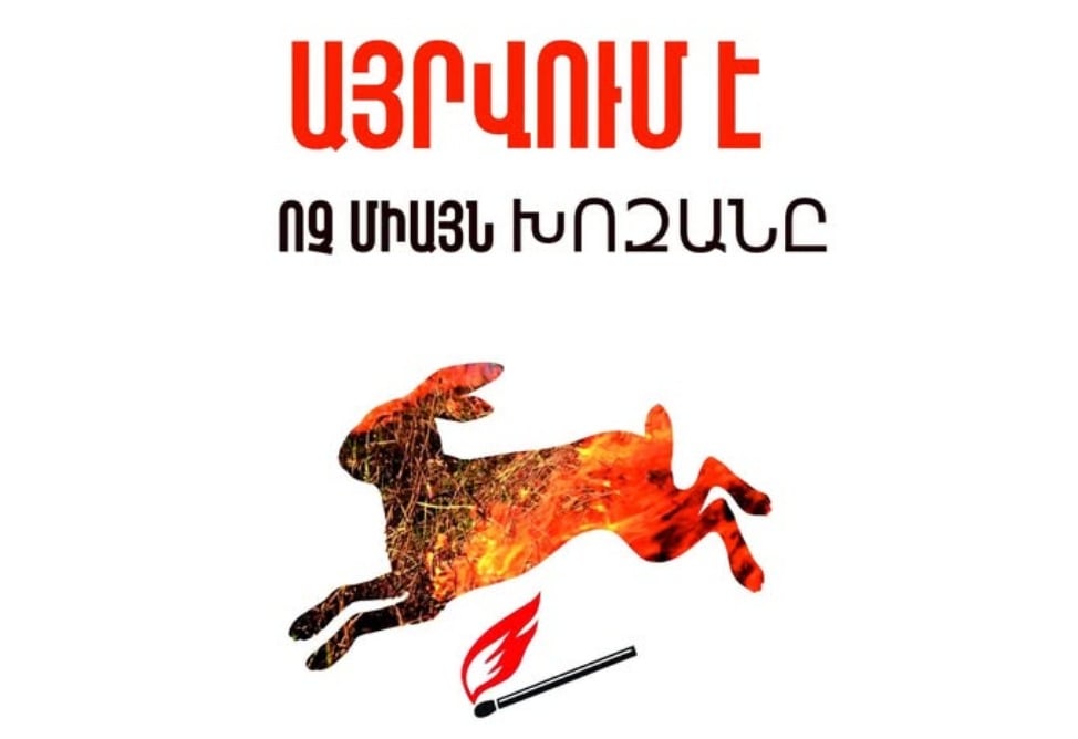 Մի՛ այրեք խոզանները․ Շրջակա միջավայրի նախարարությունը հորդորում է զերծ մնալ բուսական մնացորդներն այրելուց