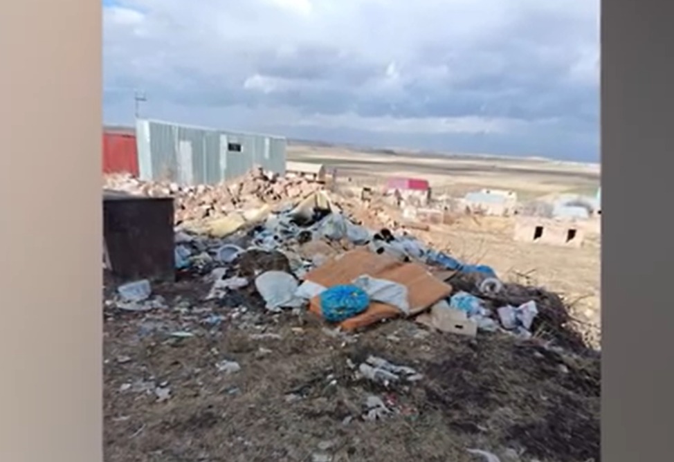 Защитники животных в Армении заявили о бойне собак: 34-летний мужчина сказал, что защищался (ВИДЕО)