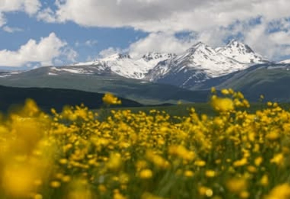 Զբոսաշրջության կոմիտեն Մադրիդում կմասնակցի FITUR 2026 միջազգային զբոսաշրջային ցուցահանդեսին