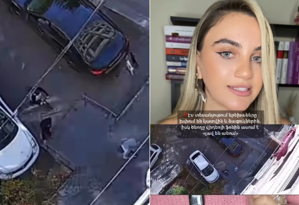 Երևանում երեխաների մասնակցությամբ կատուների նկատմամբ բռնության տեսանյութը մեծ վրդովմունք է առաջացրել Instagram-ում (ՎԻԴԵՈ)