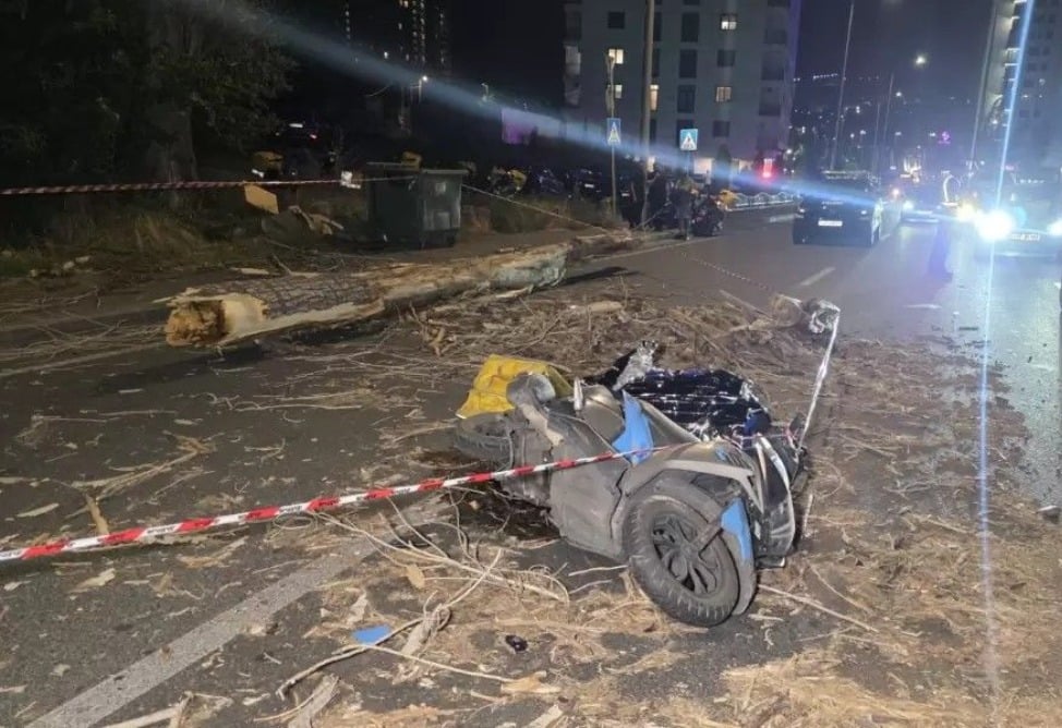 В Ереване дерево упало на движущийся мопед - водитель погиб
