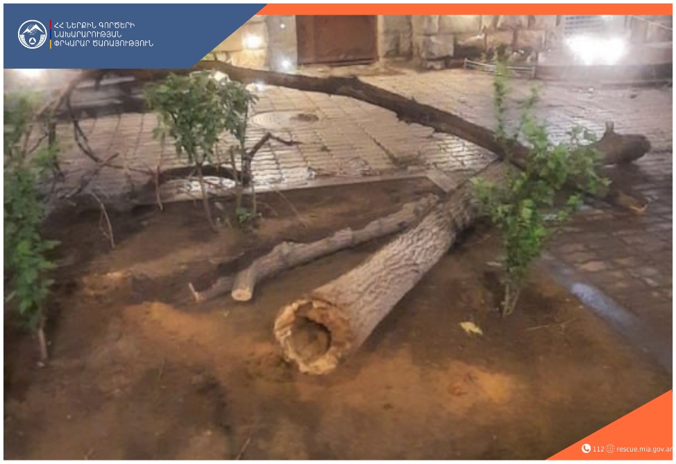 Քամու հետևանքով տապալվել են ծառեր, պոկվել էլեկտրալարեր. ՆԳՆ-ն արձագանքել է ահազանգերին (ՖՈՏՈ)