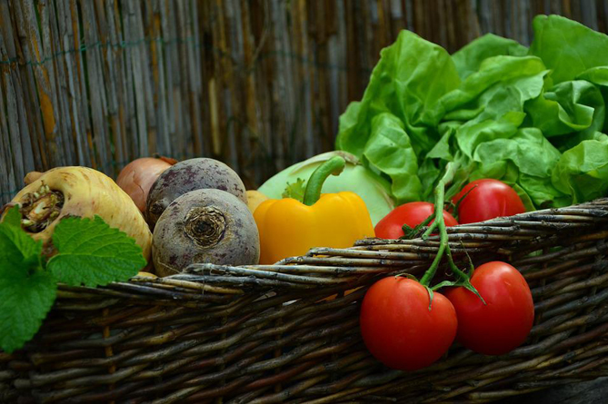 продукты питания, продовольствие, овощи